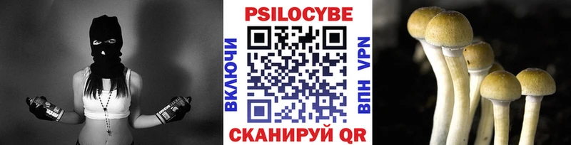 Галлюциногенные грибы ЛСД  дарнет шоп  Северо-Курильск 